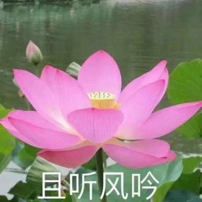 史无前例的经济刺激，将决定中国国运